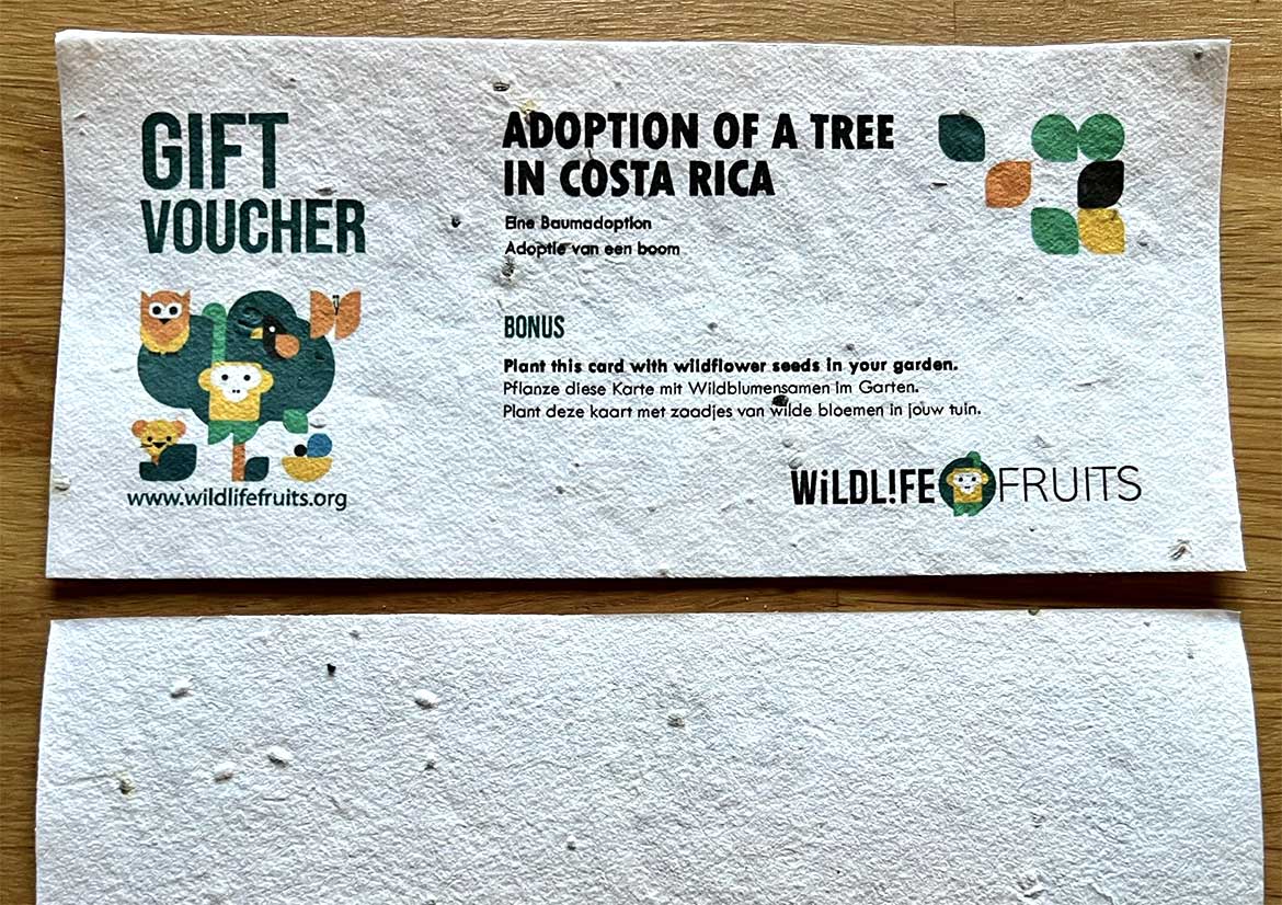 Wildflower Seed Paper